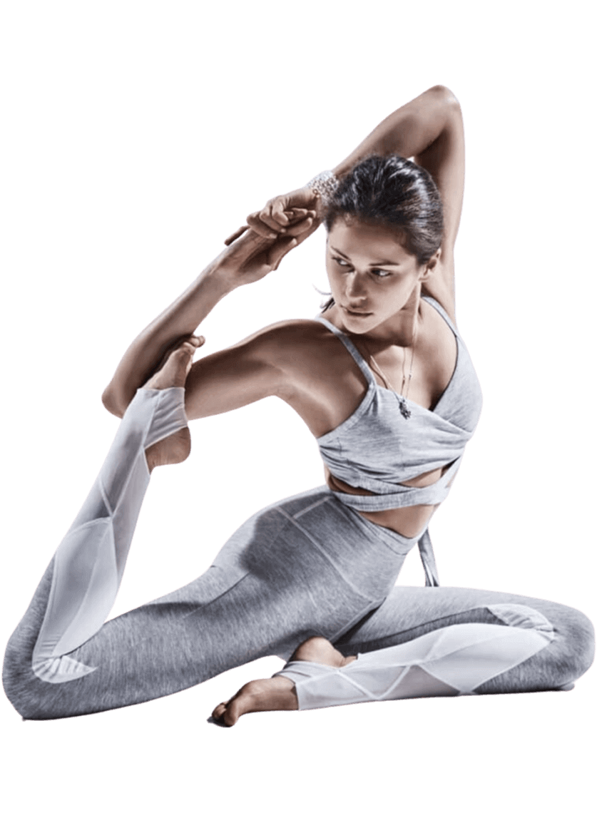 Chest Press Fitness Equipments In Bapunagar
